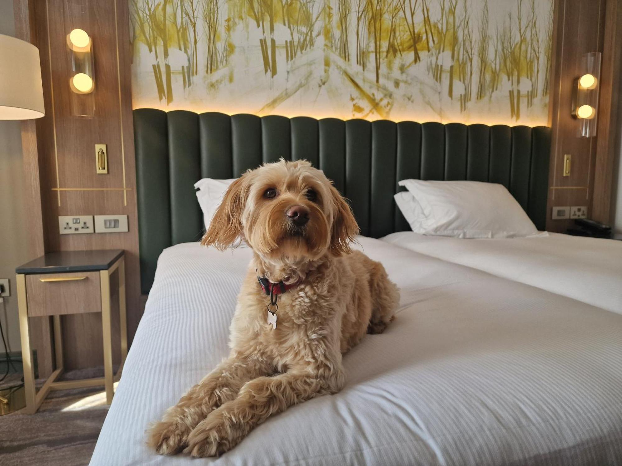 Hilton Dublin Kilmainham Otel Dış mekan fotoğraf